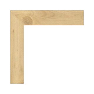 Fichte Optik