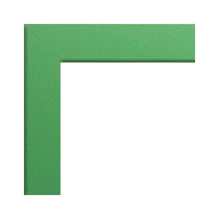 Froschgr&uuml;n